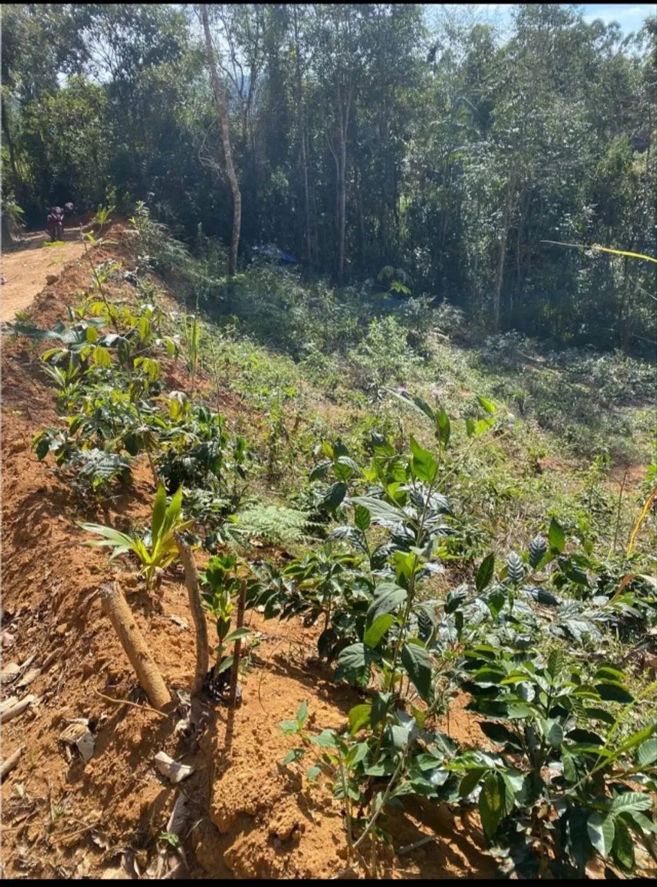21 mil metros poço de peixe água de nascente  - Foto 5