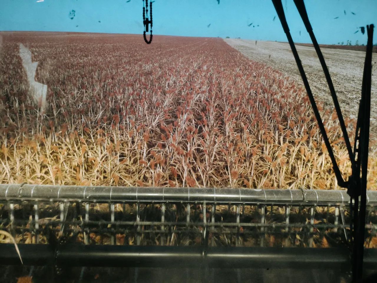 Vendo fazenda área total 411ha - Foto 2