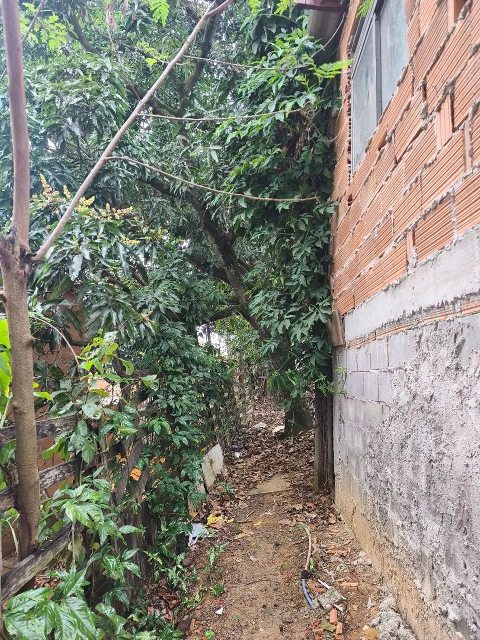 Casa a venda  - Foto 3