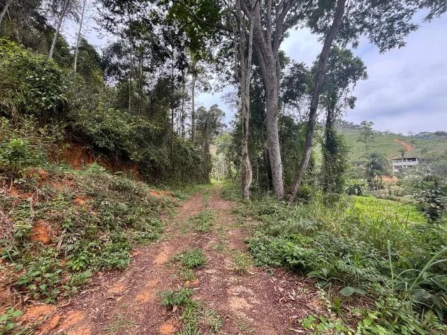 Foto - Volta Redonda - Santa Cruz