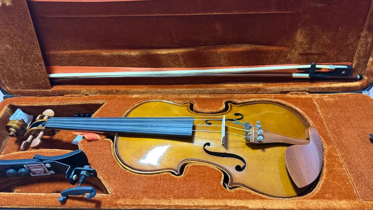 Violino Eagle VE 441 4/4 - Foto 4