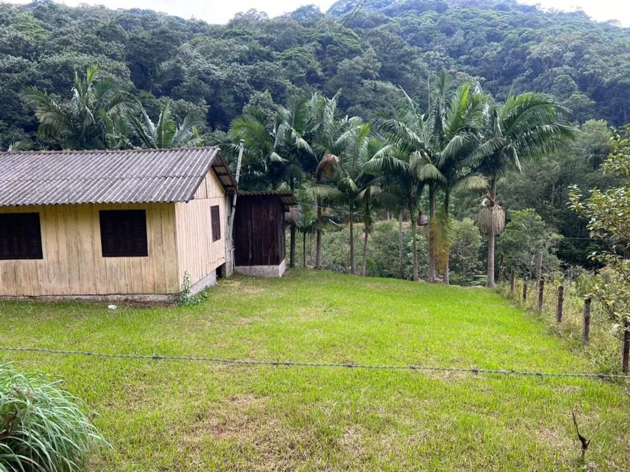 Chácara | Venda | Margem Esquerda - Foto 3