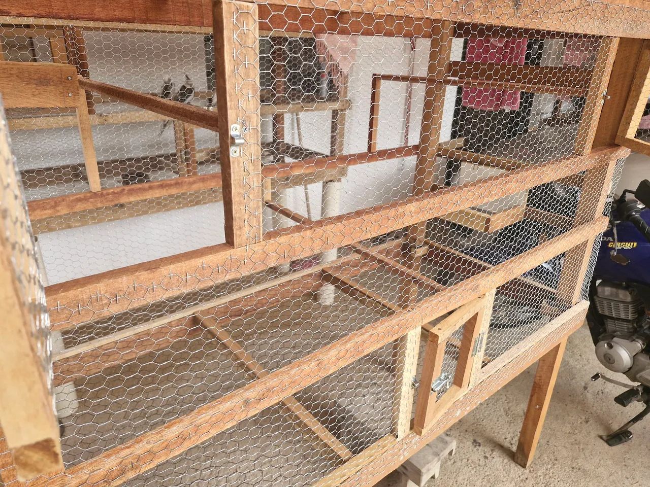 Viveiro pinteiro - Foto 4