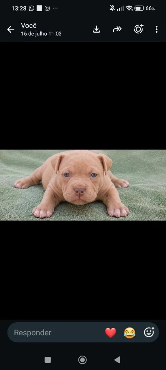 Pit monster 