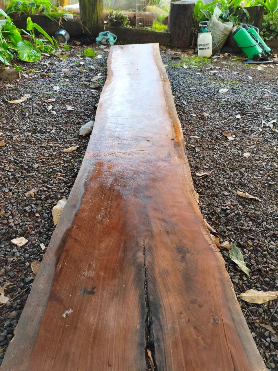 Plancha antiga de ipê  - Foto 3