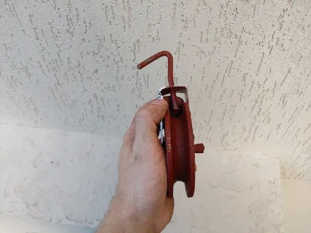 polia vermelha437483117248532481