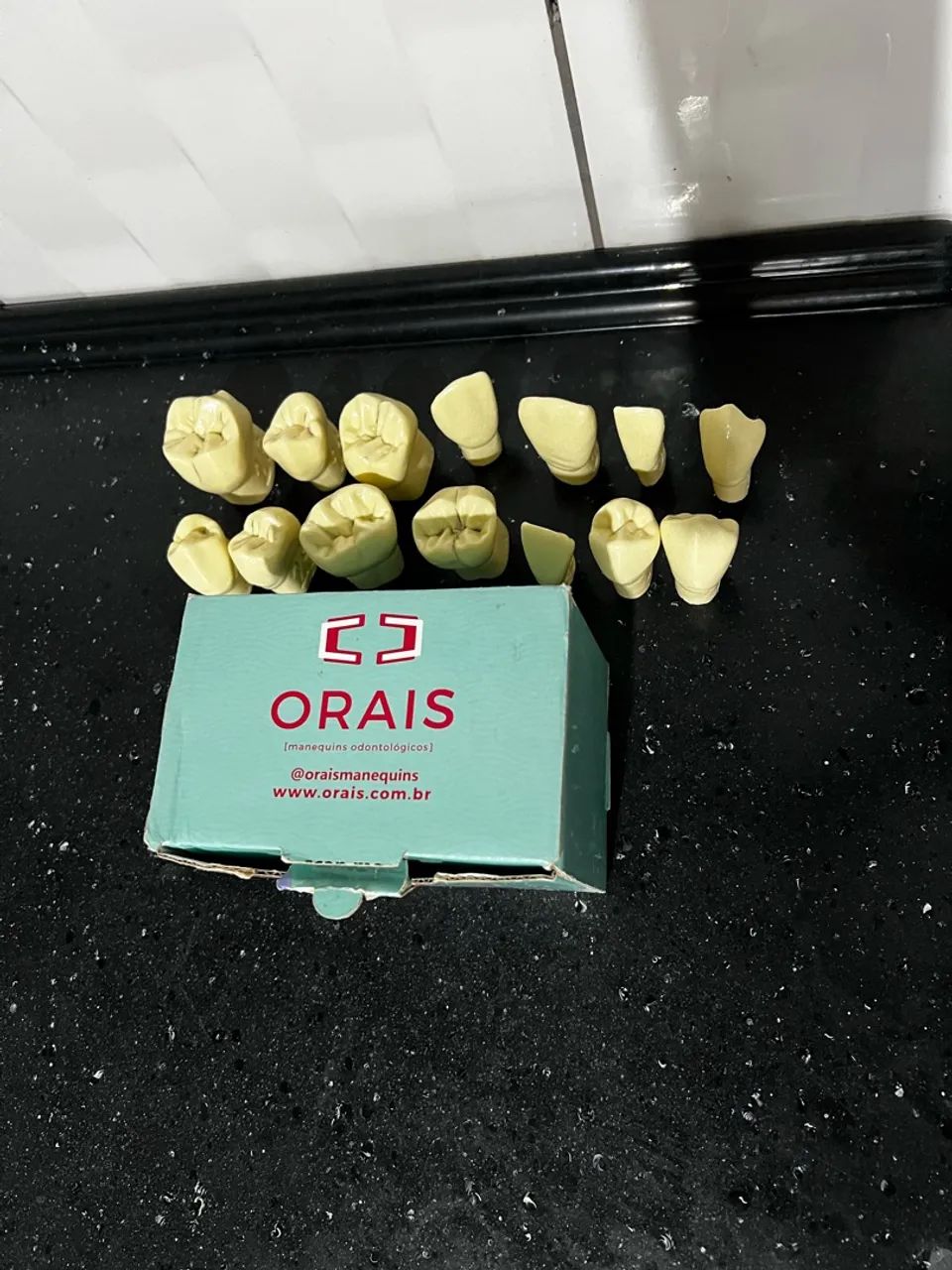 Macromodelos dentais orais  - Foto 2