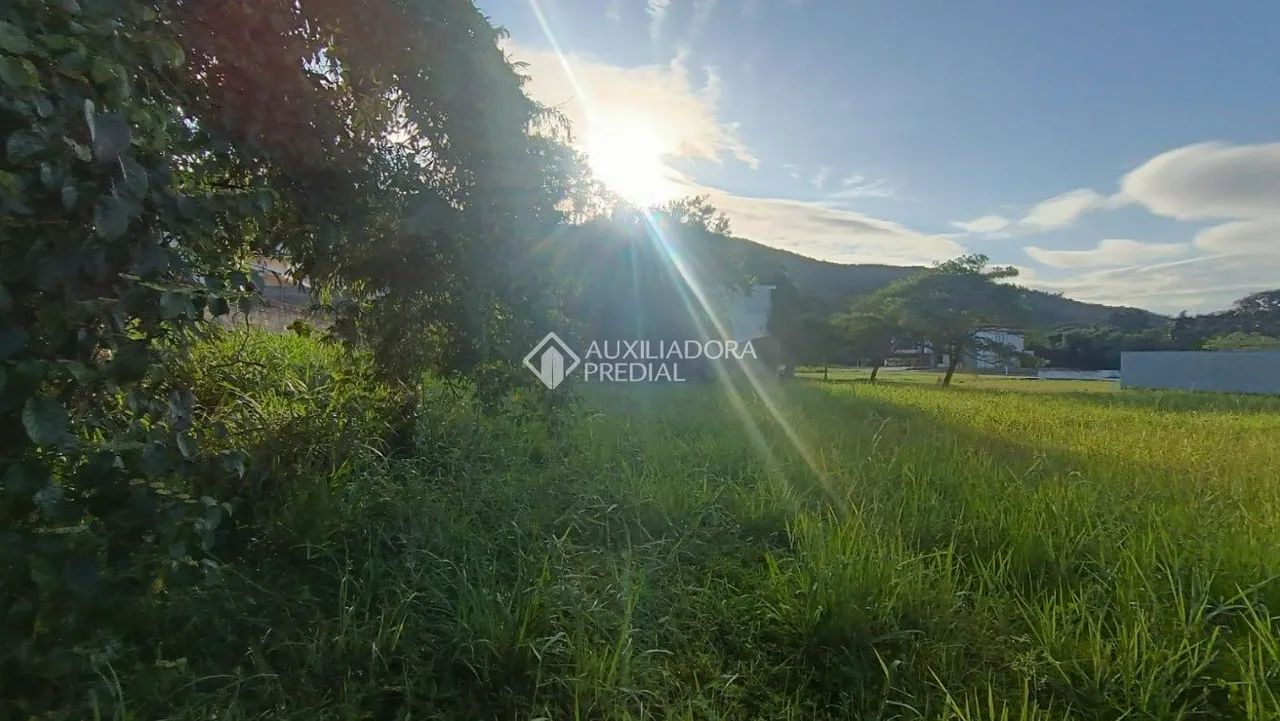Belissimo terreno com 454m2, pronto para construir. - Foto 3