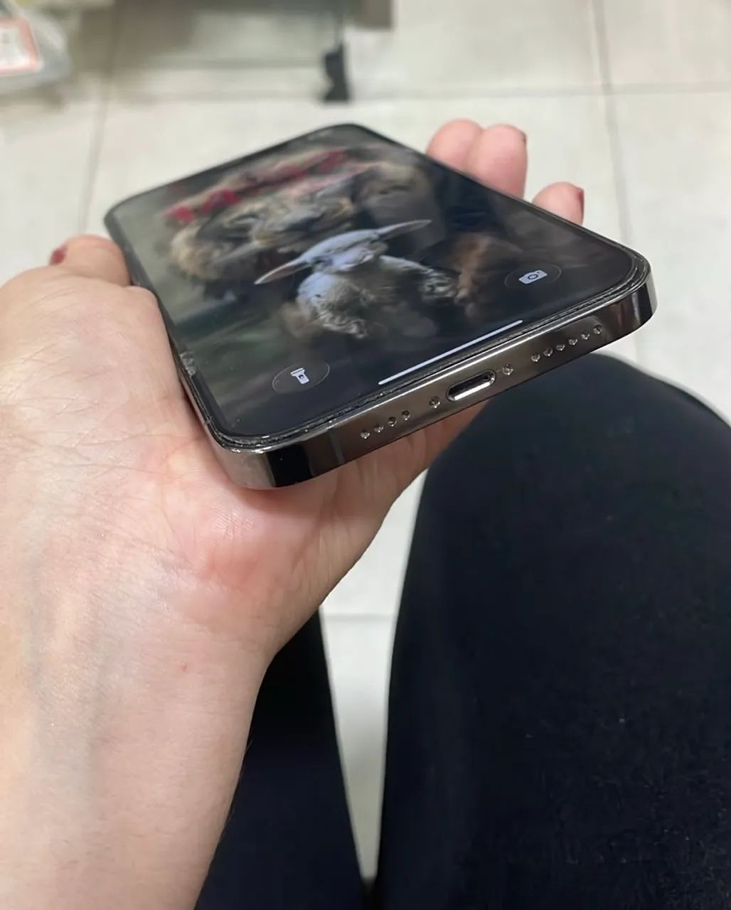 iPhone 12 Pro Max 