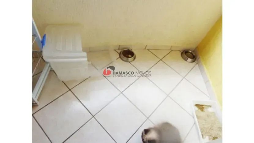 Apartamento em Santa Maria - Foto 4