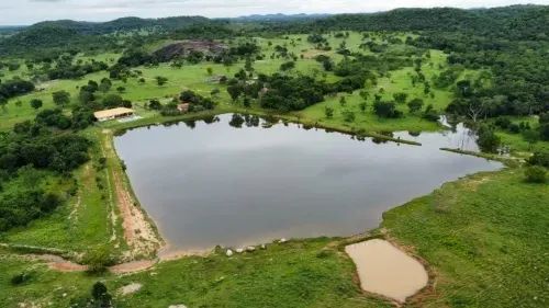 Fazenda de 70 alqueires Faina-GO