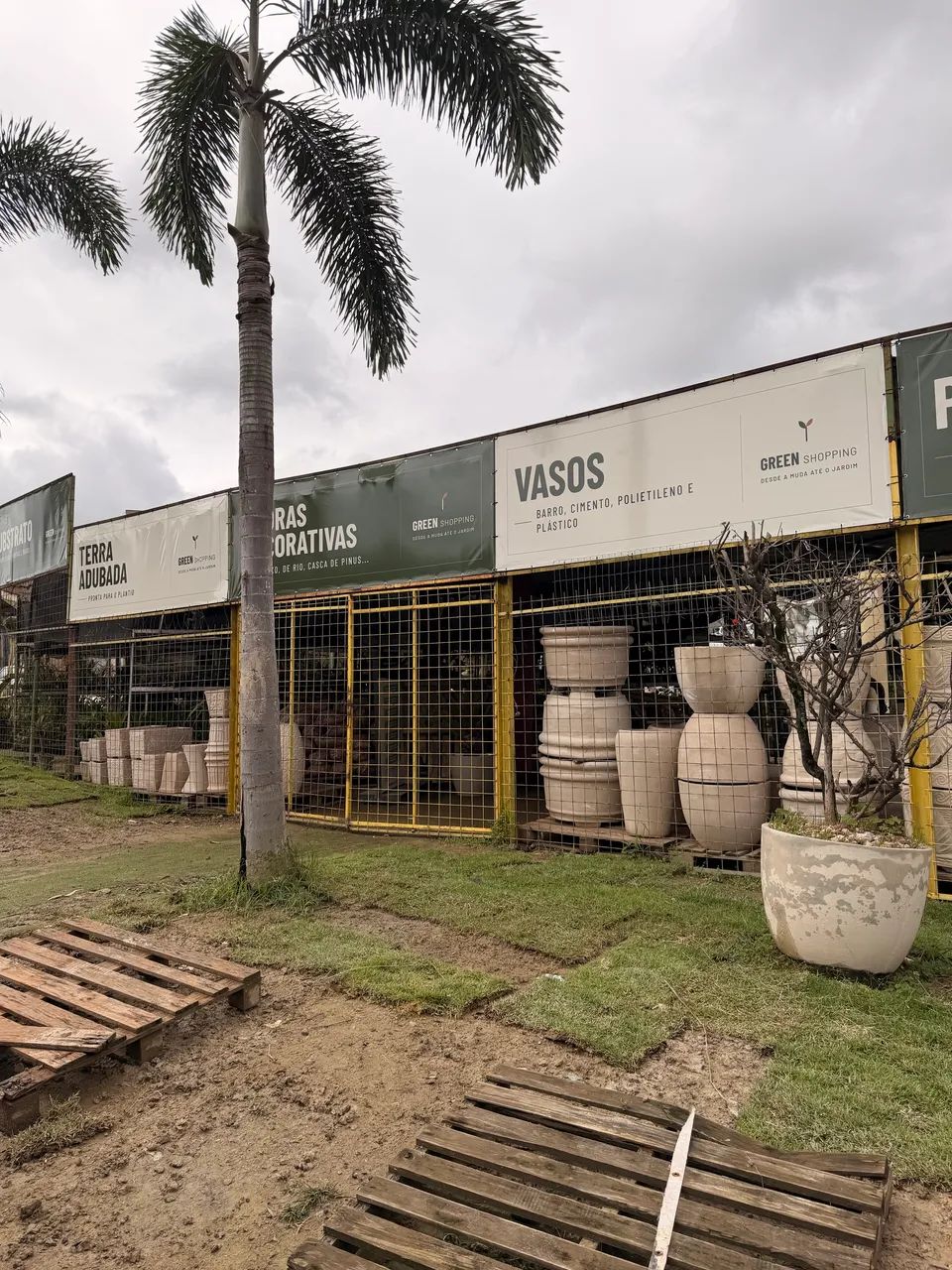 Comércio de plantas- oportunidade de negócio  - Foto 3