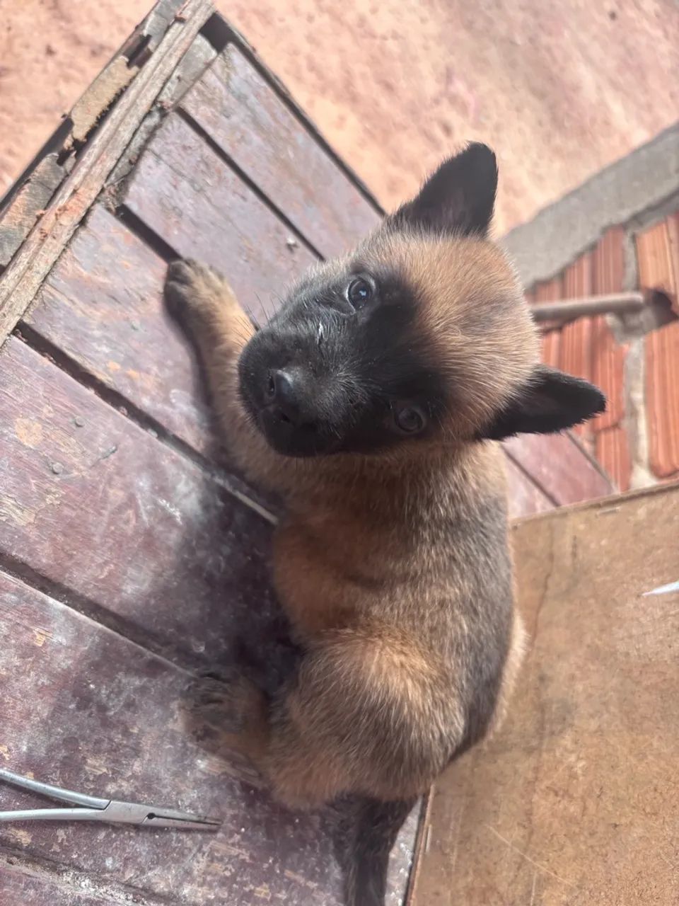 Vende se - Foto 4