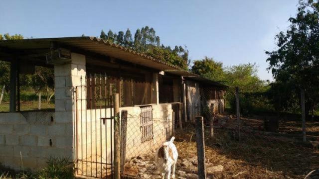 Apartamento à venda com 2 dormitórios em Centro, Cosmópolis cod:321-IM346334OB - Foto 12