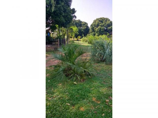 Chácara à venda em Rural, Santo antonio de leveger cod:20677 - Foto 4