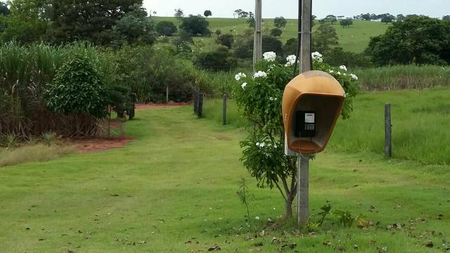 Sitio 5 alqueires formado e todo cercado - Foto 10