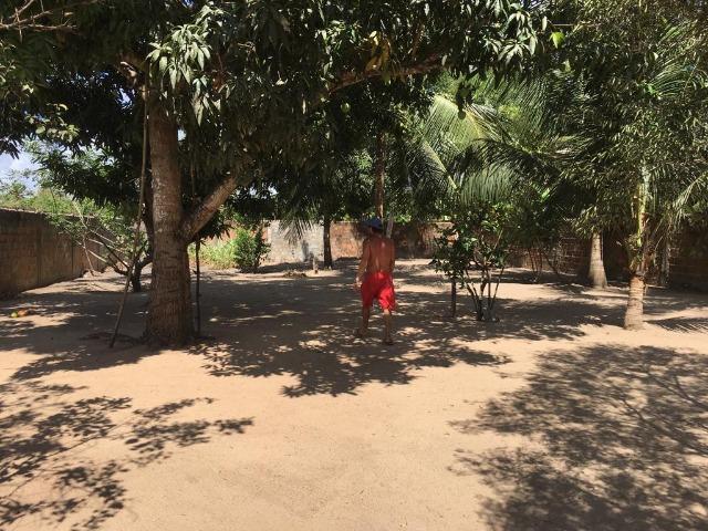 Vendo Granja em Monte Alegre- Casa sede com 3 quartos- Com dependência - Foto 4
