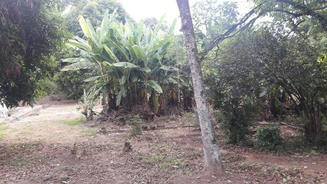 Área 2.555m² Para Empreendimentos no Jardim Califórnia - Foto 5