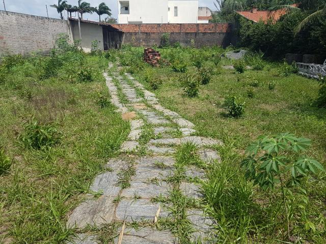 Terreno calhau - Foto 7