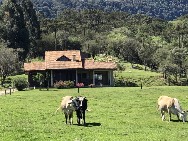 Casa em Urubici/Sítio Urubici - Foto 3