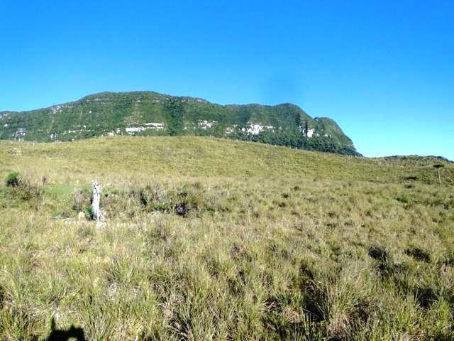 Pense num lugar bonito, sitio 5 hectares a 1000 m de altitude - Foto 5