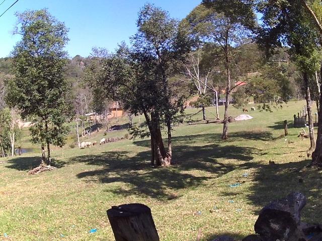 Chacara com 22.000m2 - Foto 6
