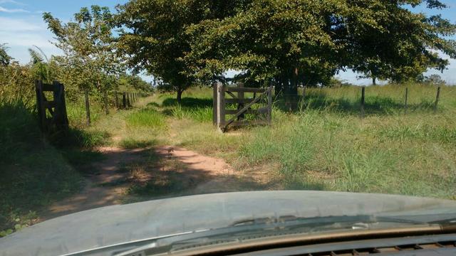 Vende-se um sítio beira de Rio Cuiaba 36 hec em Rosário Oeste - Foto 3