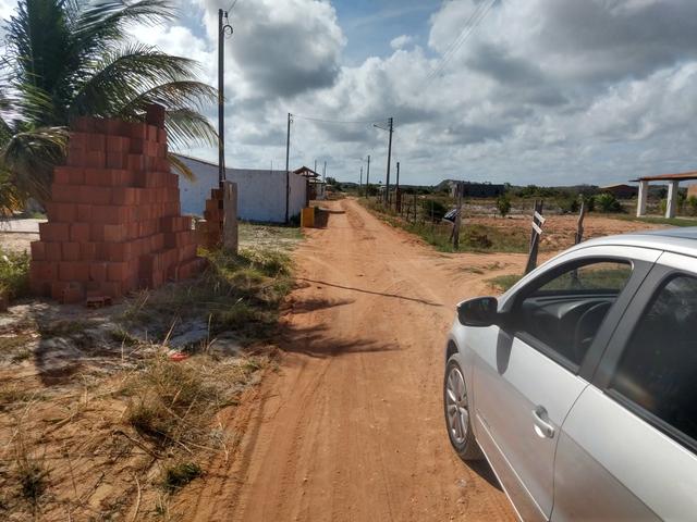 Vendo 15x50 próximo a lagoa dos tambaquis - Foto 6