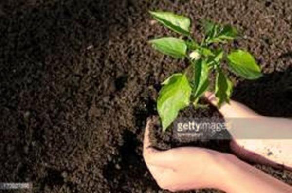 Aproveite as promoções Areia Lavada , Britas 0 -1, Terra vegetal - Foto 3