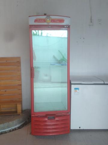 Vendo Freezer vertical Metal Frio