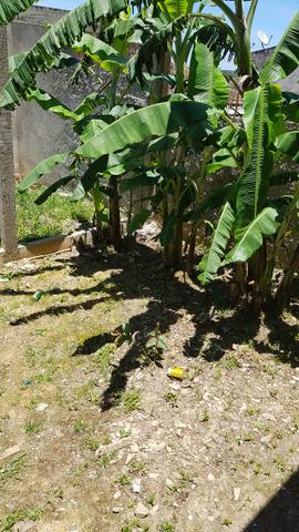 Vende-se Casa com terreno grande, com estrutura para sobrado - Foto 15