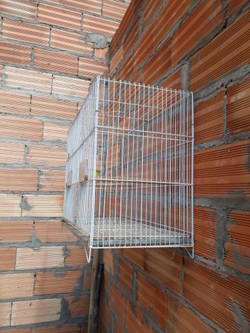 Gaiola - Foto 2