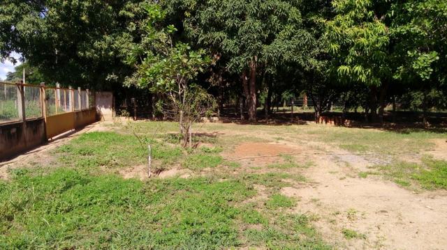 Casa/Rancho na beira do Rio Paranã - Foto 2