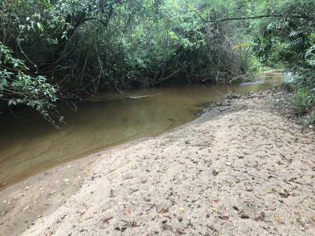 Oportunidade Venda Sítio/Rancho 46mil m2 em Aldeia Velha - Silva Jardim-RJ - Foto 7