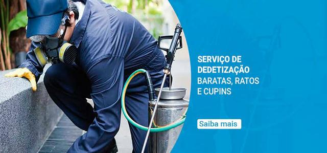Dedetização