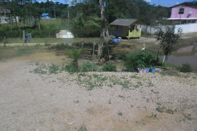 Vende-se chácara em Areia Branca dos Assis - Mandirituba (cód. A199) - Foto 3