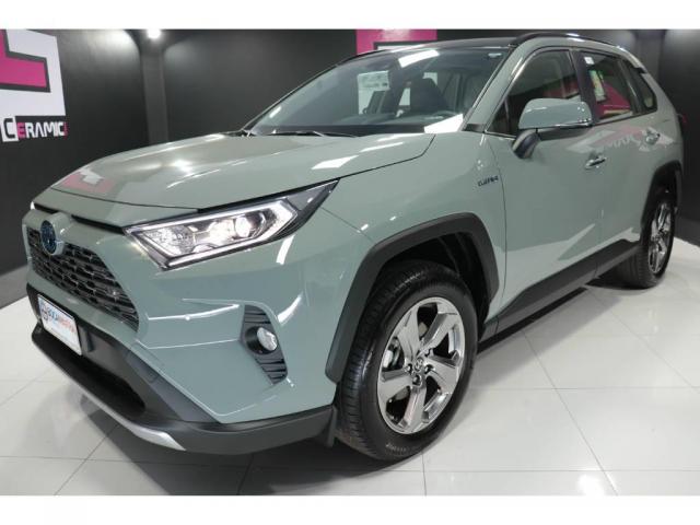 Toyota RAV-4 SX HYBRIDA