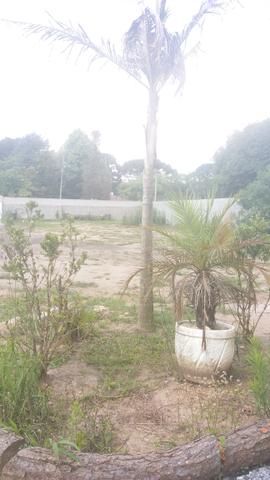 Casa e Terreno com amplo espaço e jardim