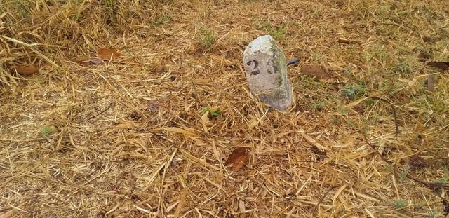 Excelente Terreno na Serra Negra em Bezerros - Foto 6