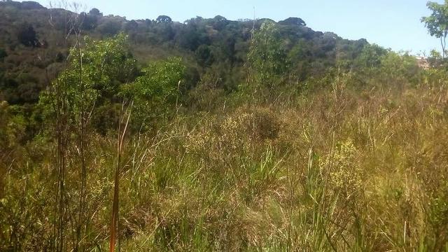 Terreno para Venda, 20.000,00 m² São Bento do Sul / SC, bairro Oxford - Foto 6
