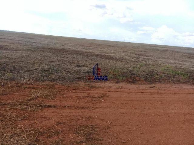 Fazenda à venda, por R$ 220.000.000 - Zona Rural - Sinop/MT - Foto 12