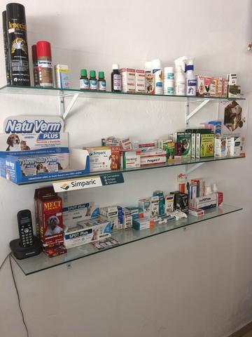 Arrendamento para Veterinário(a) - Foto 4