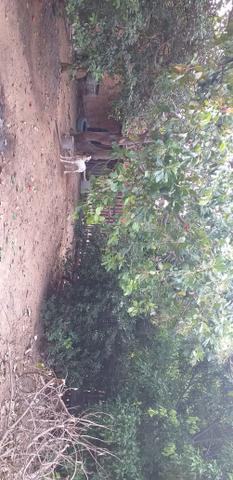 Casa - Foto 3