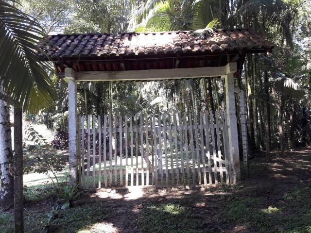 Chácara em Morretes - Foto 13
