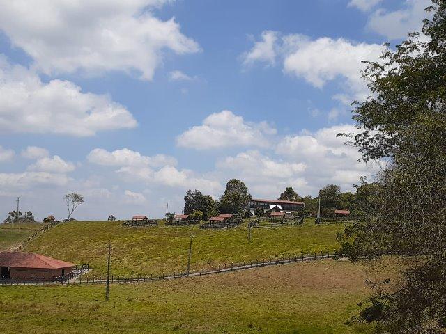 Propriedade com 14 hectares em Sairé (Cód.: fvv56) - Foto 13