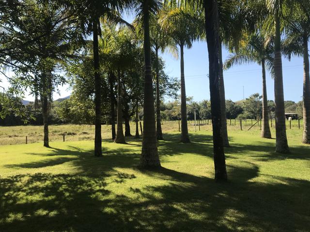 Oportunidade Venda Sítio/Rancho 46mil m2 em Aldeia Velha - Silva Jardim-RJ - Foto 10
