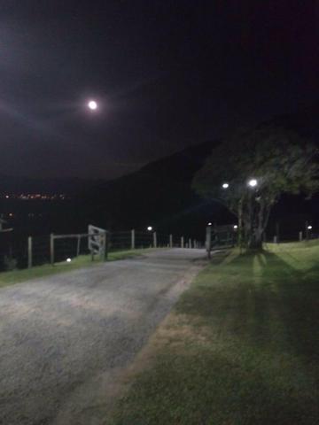 Sítio tifa bom Jesus reflorestamento - Foto 9