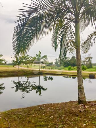 Chácara à venda em Barra do saí, Itapoá cod:149677 - Foto 9