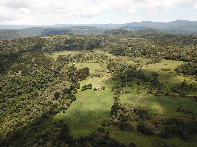 Sítio em Urubici - Foto 6