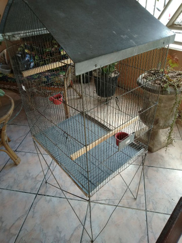Gaiola Grande para Aves em Geral